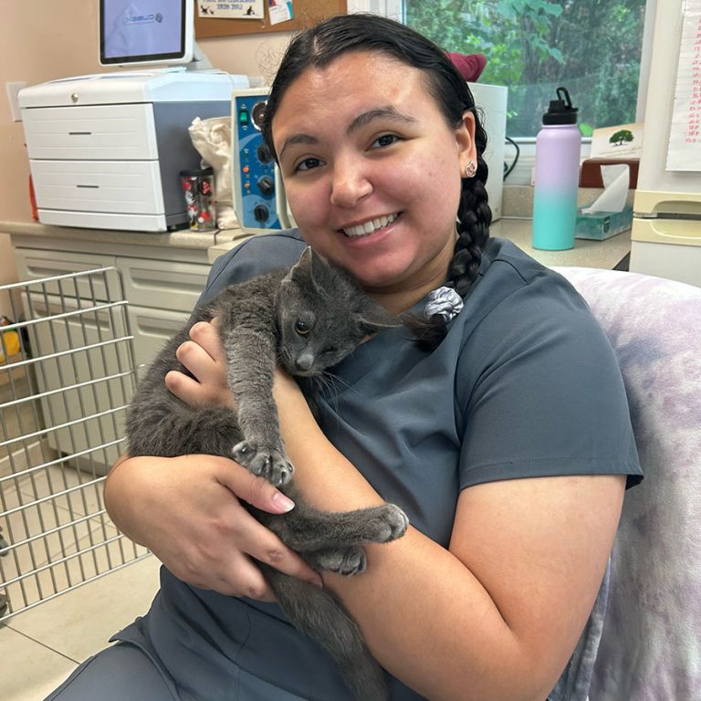 Team Vet in Teaneck Sheltering Vets at Twin Oaks